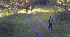 За лесами Саратовской области наблюдают фотоловушки