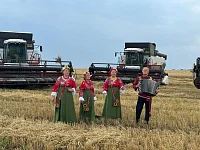 Ершовские артисты пели в поле для хлеборобов