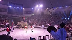 Поездка ершовцев в цирк: день, наполненный волшебством и улыбками