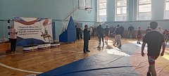 В Ершове прошел 15-й открытый турнир по греко-римской борьбе, посвященный памяти Кагакова В.А.