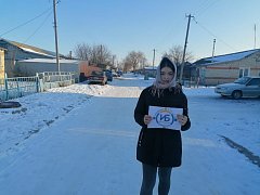 Жители пос. Трудовое Ершовского района выбирают инициативный проект