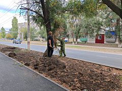 Глава Ершовского района принял участие в городском субботнике