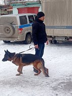 Ершовские полицейские и студенты приняли участие в совместной акции «Студенческий десант»