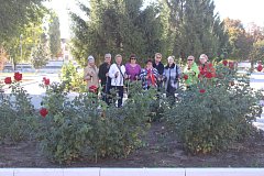 Прогулки на свежем воздухе помогают пожилым ершовцам зарядиться позитивом