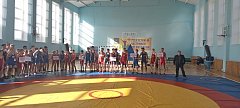 В Ершове прошел 15-й открытый турнир по греко-римской борьбе, посвященный памяти Кагакова В.А.