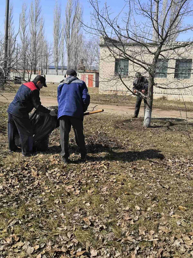 В Ершове весну встречают субботниками  Степной край, новости 