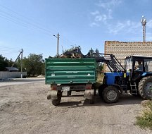 На территории Ершовского района проводятся плановые работы по санитарной обрезке деревьев