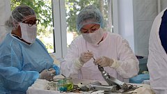 Встать на ноги в Балаково помогают операции на коленных и тазобедренных суставах