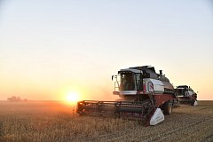 Глава региона Роман Бусаргин отметил ершовских аграриев в числе лидеров уборочной кампании