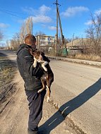 В Ершове вновь работали специалисты по отлову бродячих животных