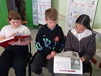 В рамках Года защитника Отечества в сельской библиотеке Ершовского района прошел урок патриотизма