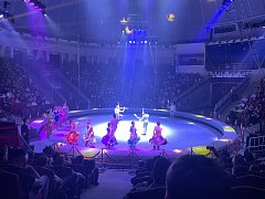 Ершовские школьники остались в восторге от циркового шоу Ярослава Запашного