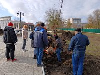 Озеленение городских территорий: совместная работа на благо Ершова