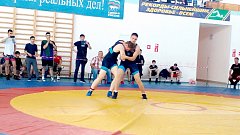 В Ершове прошел турнир по греко-римской борьбе, на котором встретились спортсмены из 9 районов области