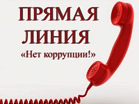 В комплексном центре соцобслуживания населения Ершовского района состоится прямая линия по вопросам противодействия коррупции, отнесенным к сфере деятельности учреждения