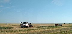 Уборочная кампания в Ершовском районе выходит на финишную прямую