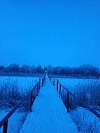Зимние пейзажи вдохновили ершовцев на фотосъемку 