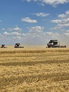 Уборочная страда: ершовские хлеборобы приближаются к финишу