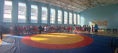 В Ершове прошел 15-й открытый турнир по греко-римской борьбе, посвященный памяти Кагакова В.А.