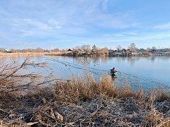 На водоеме в г.Ершове лебеди показали спасателям, что в помощи не нуждаются