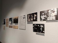 В Саратове стартует конференция «Музеи СВО: опыт и перспективы»