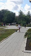 Сегодня в городском парке — последние приготовления, ведь уже завтра — фестиваль «Ершовские подсолнухи»