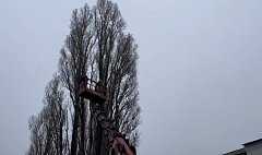 В Ершове проводят плановую опиловку и вывоз аварийных деревьев