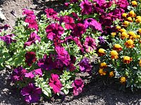 Погода в Ершове сегодня «капризничает»