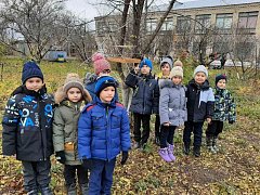 Школьники Ершовского района участвуют в акции "Синичкин день"