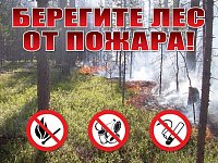 До 1 сентября в регионе ввели ограничения на посещение леса