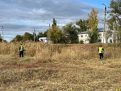 Ершовское «Благоустройство» продолжает комплекс работ по наведению порядка в городе