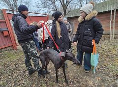 В Ершове для юных любителей животных организовали необычную встречу