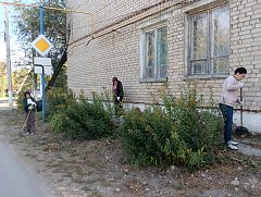 Ершовцы приняли активное участие в общеобластном субботнике, объявленном губернатором