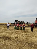 Ершовские культработники устраивают концерты для хлеборобов прямо в полях