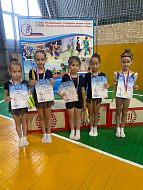 Областные соревнования по художественной гимнастике: дебют ершовских гимнасток