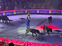 Ершовские школьники остались в восторге от циркового шоу Ярослава Запашного