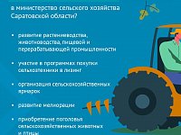 Сельское хозяйство - ключевая отрасль экономики Саратовской области.