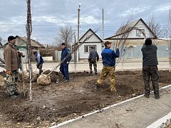 Озеленение городских территорий: совместная работа на благо Ершова
