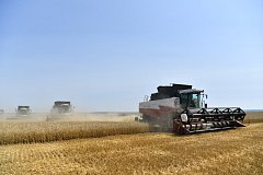 Ершовский район — в числе лидеров по сбору зерновых