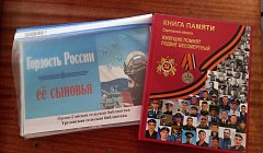 В рамках Года защитника Отечества в сельской библиотеке Ершовского района прошел урок патриотизма