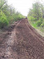 В Ершовском районе грейдируют дорогу к ДОЛу «Дельфин»