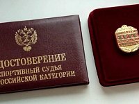 Тренеру Ершовской спортивно-адаптивной школы «РиФ» Алексею Мухортову присвоено звание «Спортивный судья всероссийской категории»