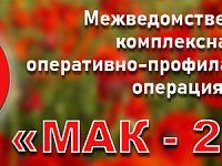 Ершовцев предупреждают об ответственности за незаконное культивирование растений, содержащих наркотические вещества