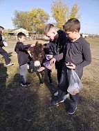 Ершовские школьники побывали в уникальном экопарке