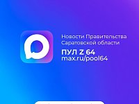 Правительство Саратовской области завело официальный канал в МАХе