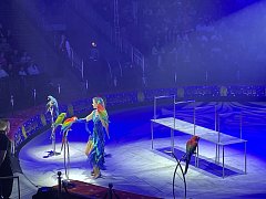 Ершовские школьники остались в восторге от циркового шоу Ярослава Запашного