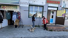 В Ершове проходят профилактические мероприятия по благоустройству