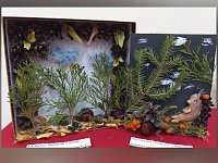 В Ершовской школе искусств прошла выставка «Красота природного материала»