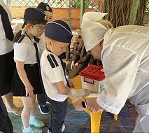 В детском саду «Василек» г. Ершова прошла «Дошкольная Зарница»