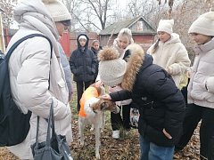 В Ершове для юных любителей животных организовали необычную встречу